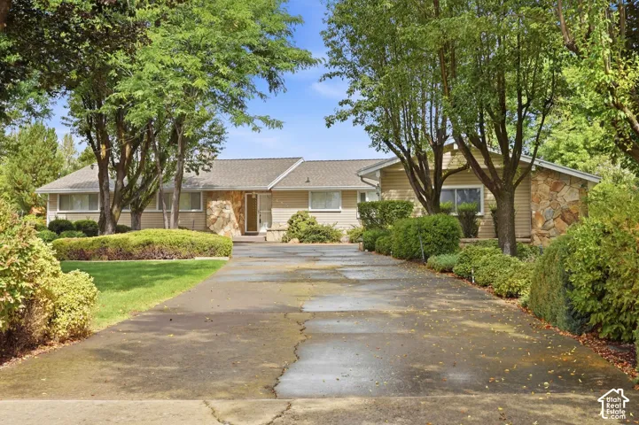 Single-story residence featuring natural stone accents, light-toned siding, a gabled roof, and a mature tree-lined driveway