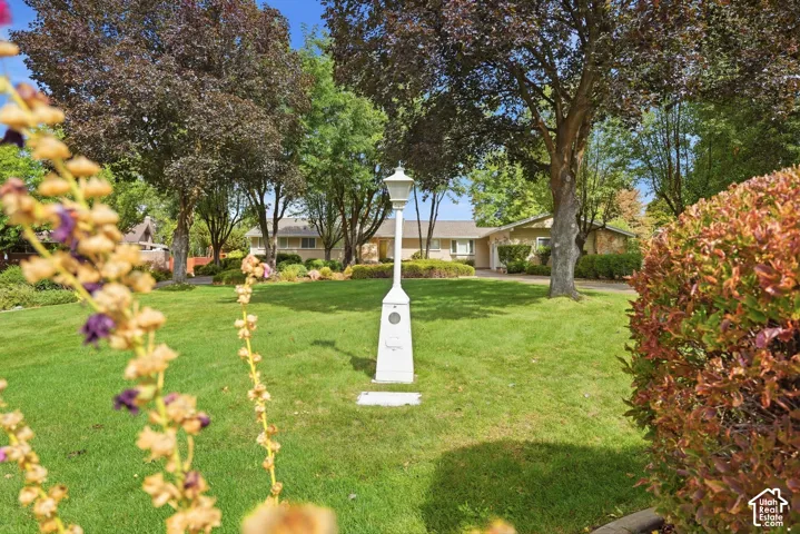 Expansive front yard featuring a manicured lawn, mature trees, and a decorative lamppost