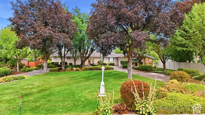 Expansive front lawn with mature trees and diverse landscaping