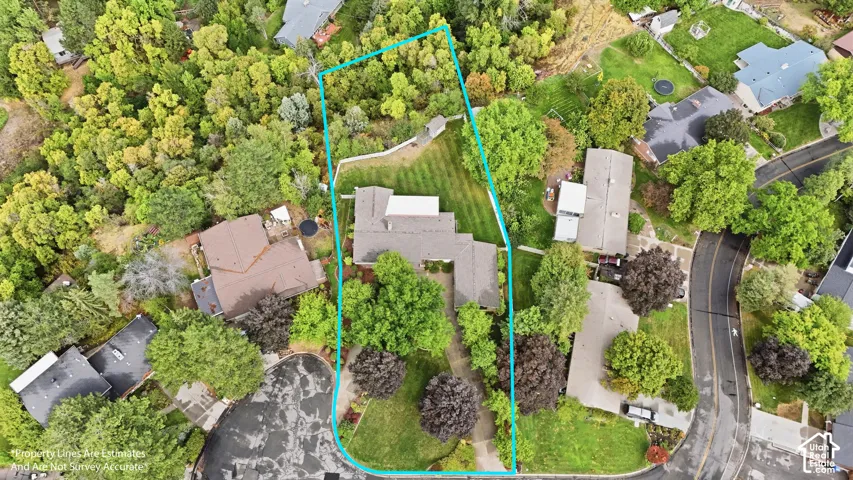 Expansive property with mature trees, manicured lawns, and a private driveway