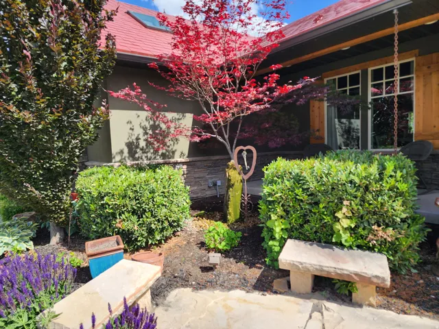 Manicured landscaping with mature shrubs and a Japanese maple