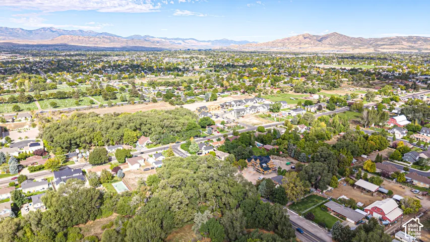 Expansive suburban landscape with varied housing styles, mature trees, and mountainous terrain in the distance