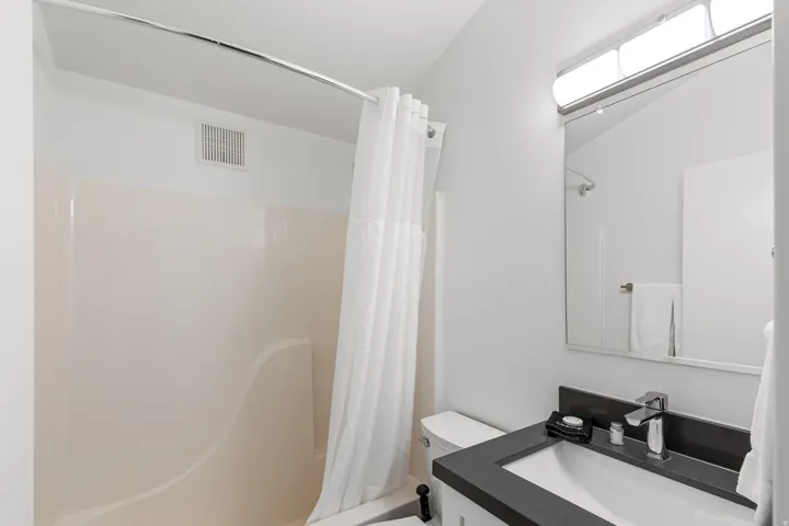 Vanity with a dark countertop and undermount sink, illuminated by a strip light fixture above a rectangular mirror