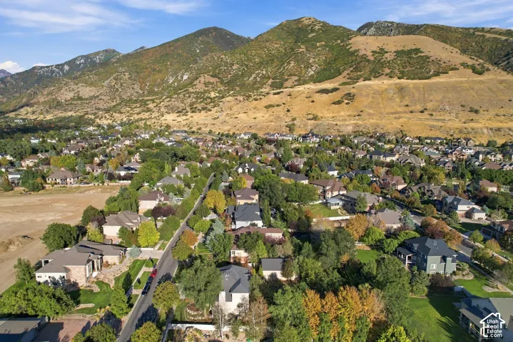 Expansive residential area with mature trees and a mountain backdrop