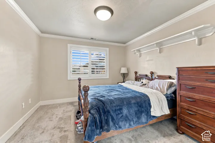 Neutral wall paint, textured carpeting, window with plantation shutters, ceiling-mounted light fixture, and crown molding