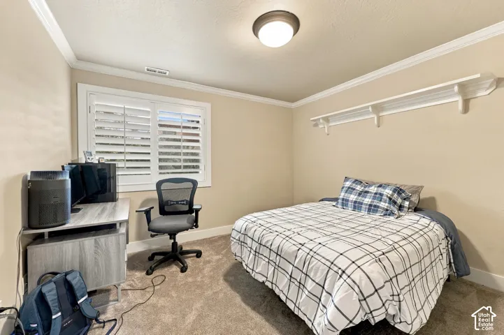 Wall-to-wall carpeting, crown molding, and window shutters