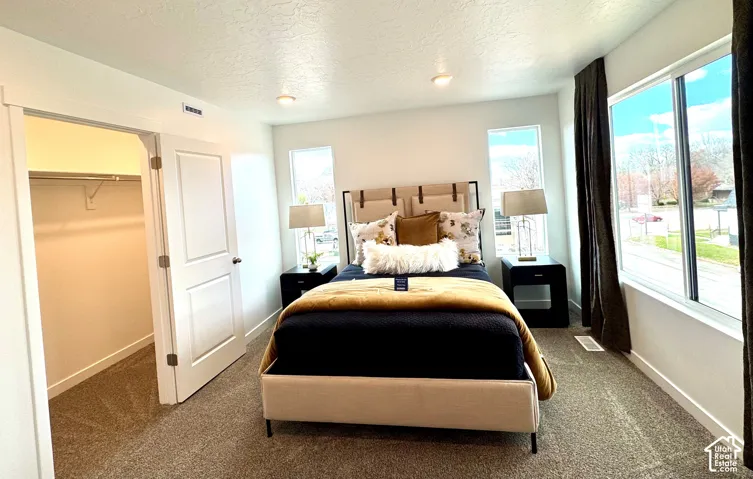 Carpeted room featuring a double-door closet with shelving and hanging rod, recessed lighting, and large windows