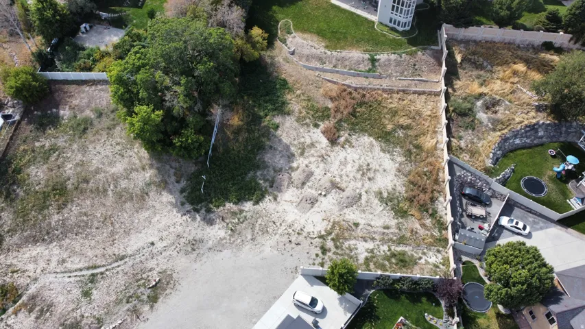 Expansive undeveloped lot featuring a large mature tree and varied terrain