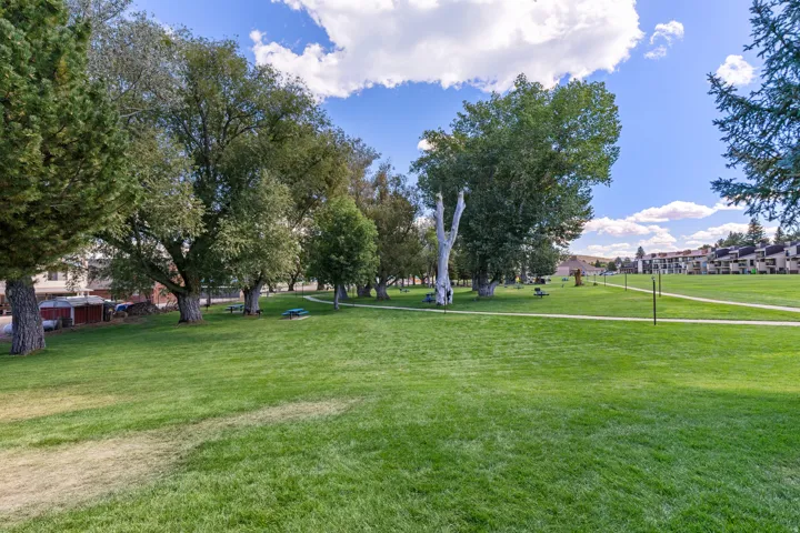 Expansive green space featuring a grass field and mature trees