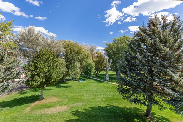 Expansive green space featuring a manicured lawn, mature deciduous trees, and evergreen trees
