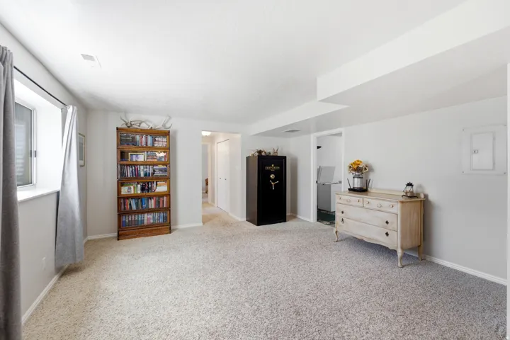 Carpeted room with a built-in window and light-toned walls