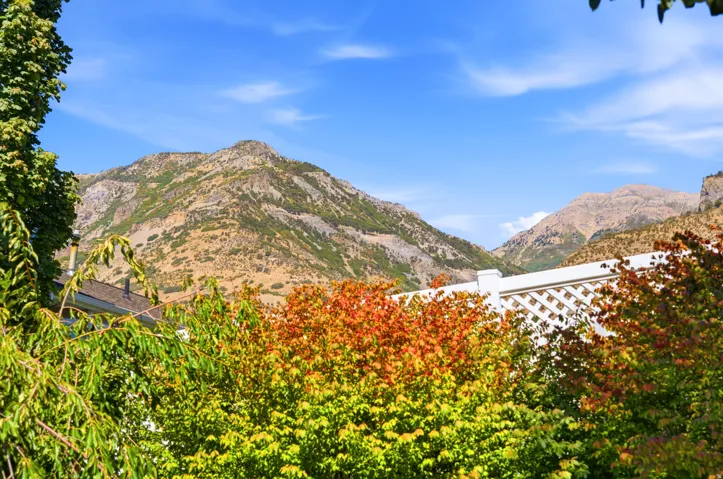 Mountain backdrop with distant peaks, framed by lush foliage and vibrant autumn trees