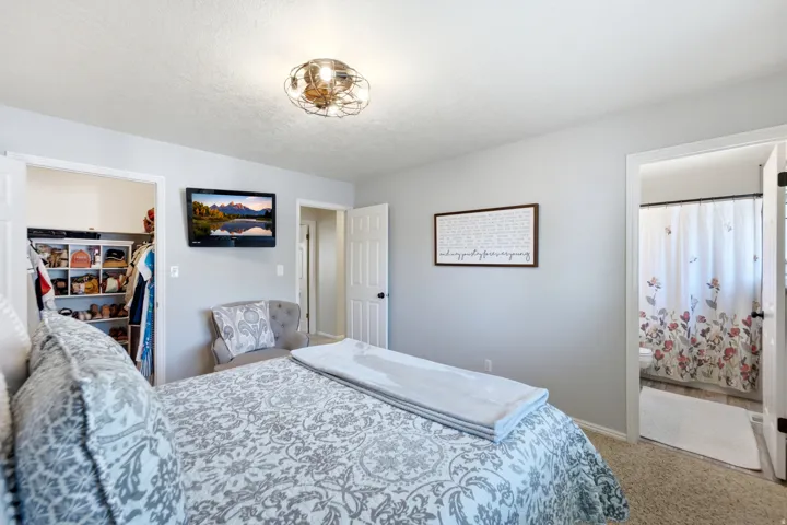 Carpeted flooring, recessed closet with built-in shelving, wall-mounted television, and a flush-mount ceiling light