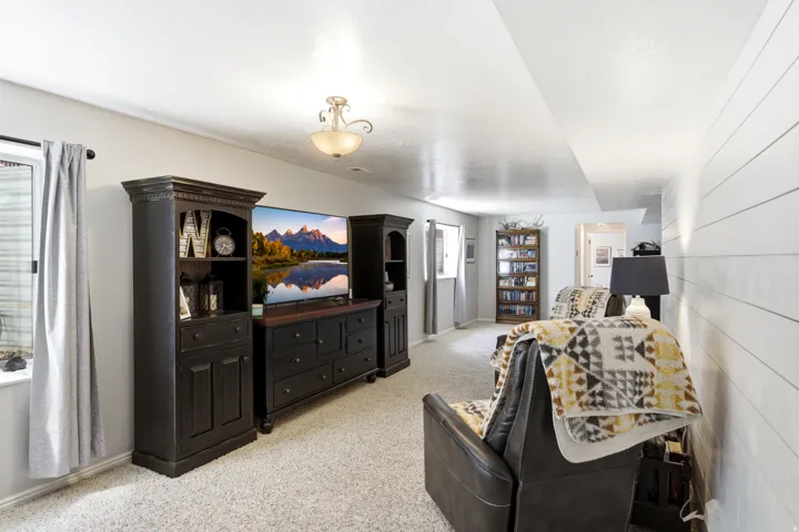 Carpeted room with a window, ceiling light fixture, and a built-in bookcase