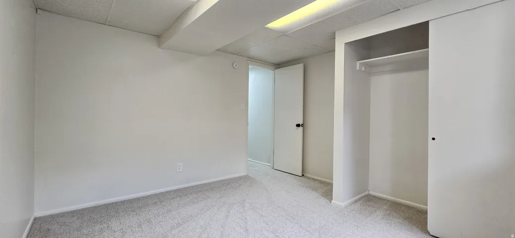 Light-colored carpeting, white walls, built-in closet with sliding doors, and white paneled doors