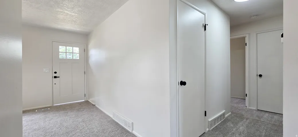 Entryway with a multi-pane front door, light-colored carpeting, and white walls