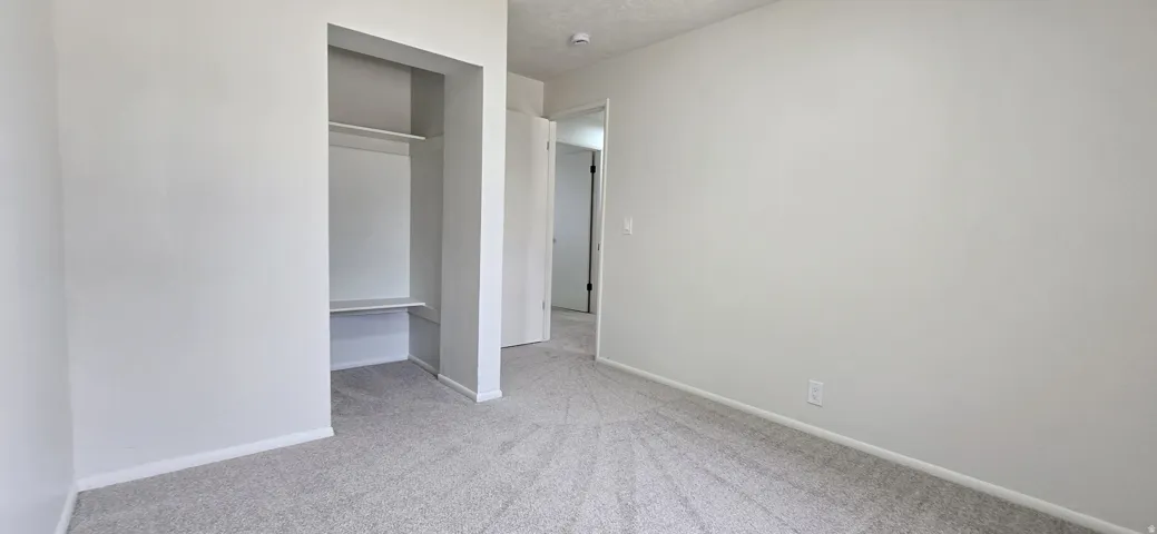 Neutral-toned carpeting, light gray wall paint, and a built-in closet with shelving and hanging rod