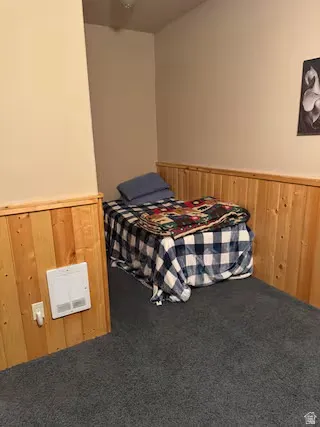 Carpeted flooring with light wood-finish wainscoting and light-toned walls