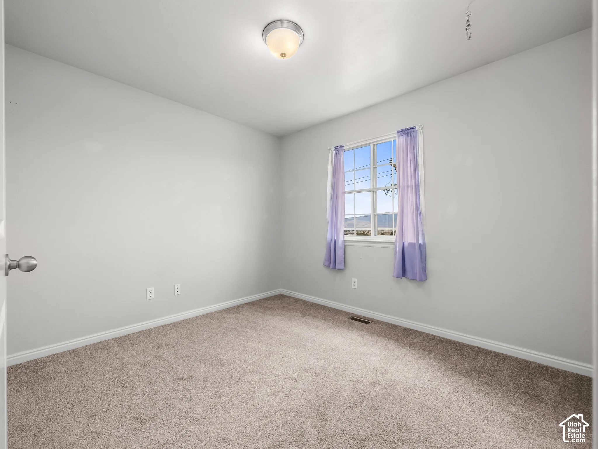 Carpeted flooring, neutral wall color, ceiling-mounted light fixture, window with natural light, white trim molding