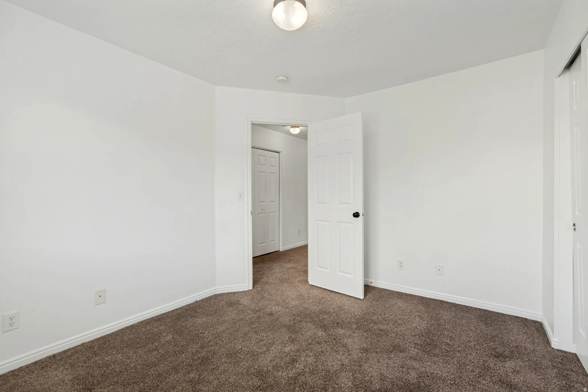 Plush brown carpeting, white interior walls, and a ceiling-mounted light fixture