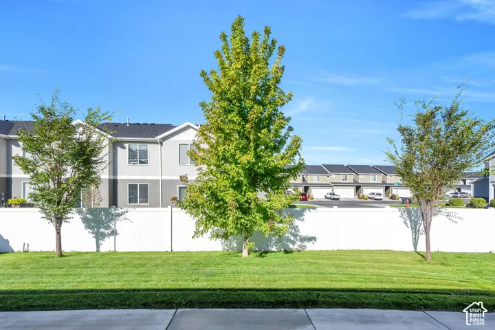 View from the back door.  Green lawn with mature trees and a white privacy fence