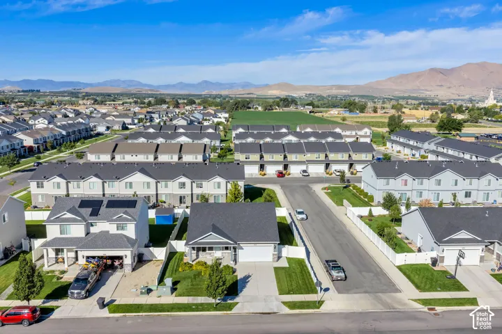 The neighborhood