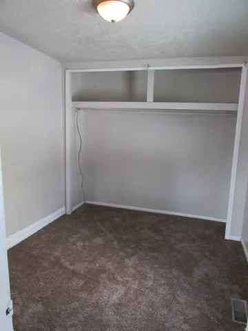 Wall-to-wall carpeting, built-in shelving, overhead lighting, and crisp white trim
