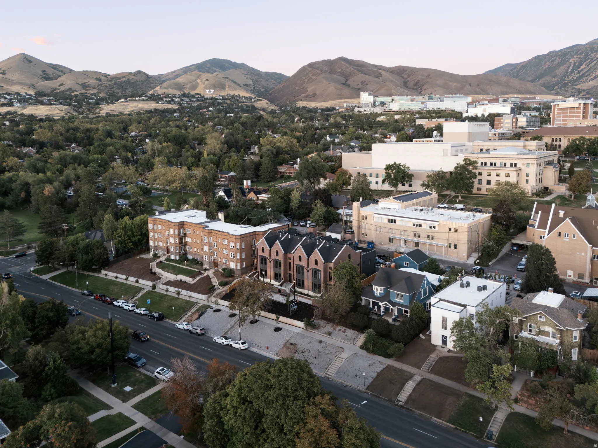Aerial perspective showcasing residential structures, established street, and abundant green spaces