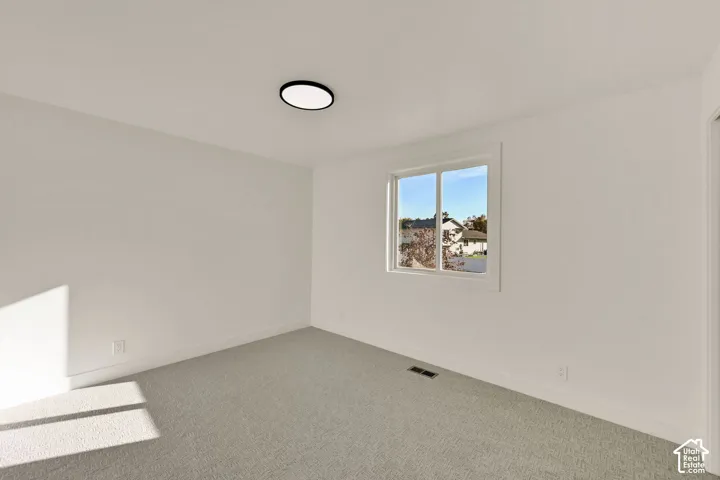 White walls, light-toned carpet, and a flush-mount ceiling light