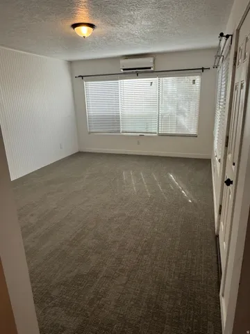 Wall-mounted mini-split system, flush-mount ceiling light fixture, and textured carpet flooring
