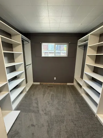 Built-in shelving units, integrated hanging rods, window feature, patterned carpet, and painted walls