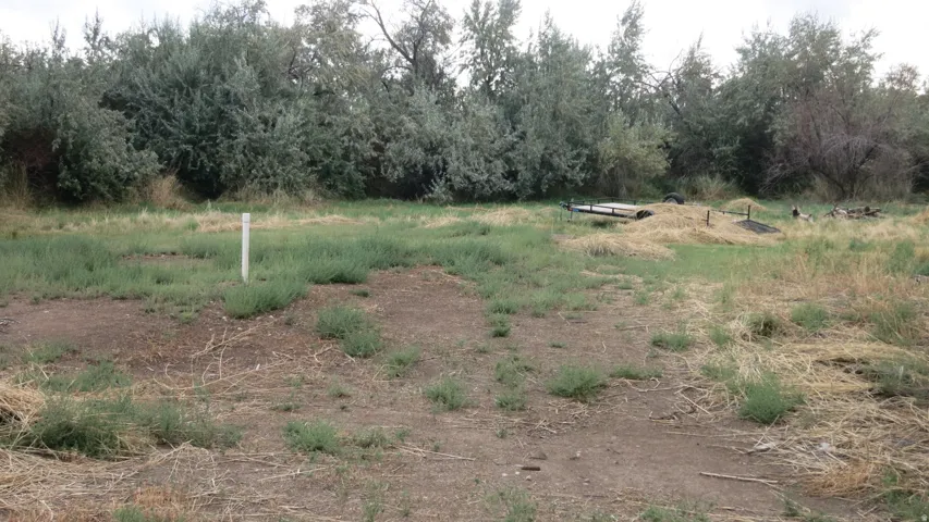 Additional content