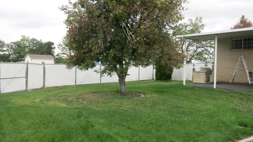 Expansive lawn area with a mature tree