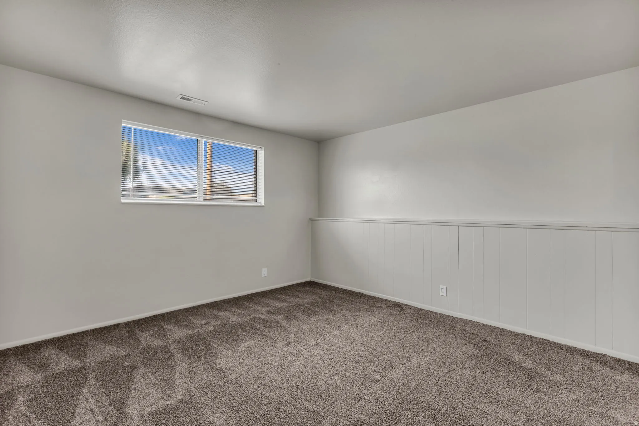 Plush carpet flooring, white wall paneling, and a white-framed window