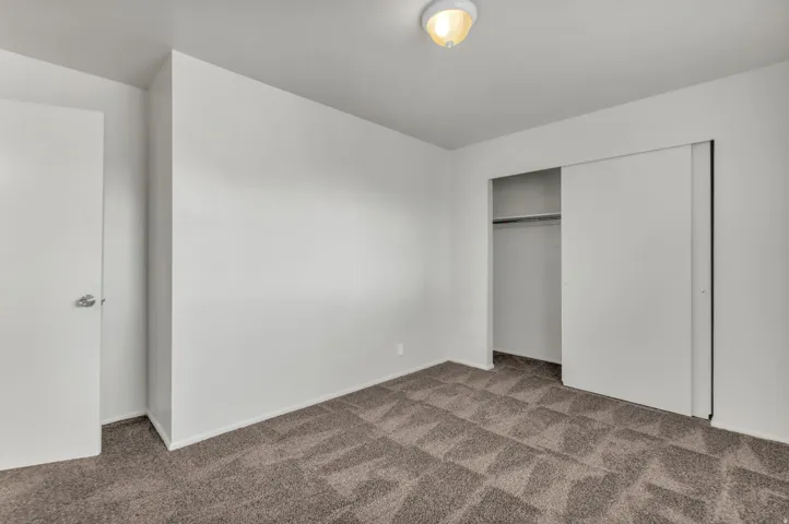 Interior space featuring neutral wall paint, patterned carpeting, and a closet with sliding doors