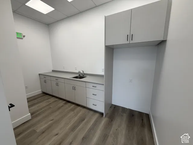 Wood-finish flooring, white walls, built-in cabinetry with a countertop and sink, and overhead recessed lighting