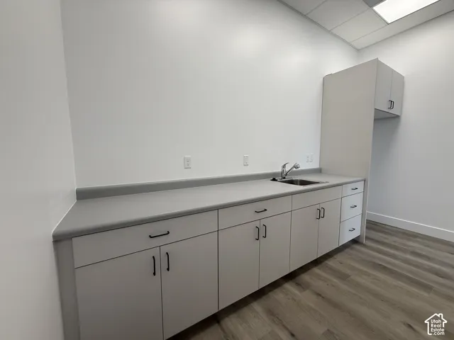 Extensive counter space with integrated sink, contemporary cabinetry, built-in overhead storage, and wood-finish flooring