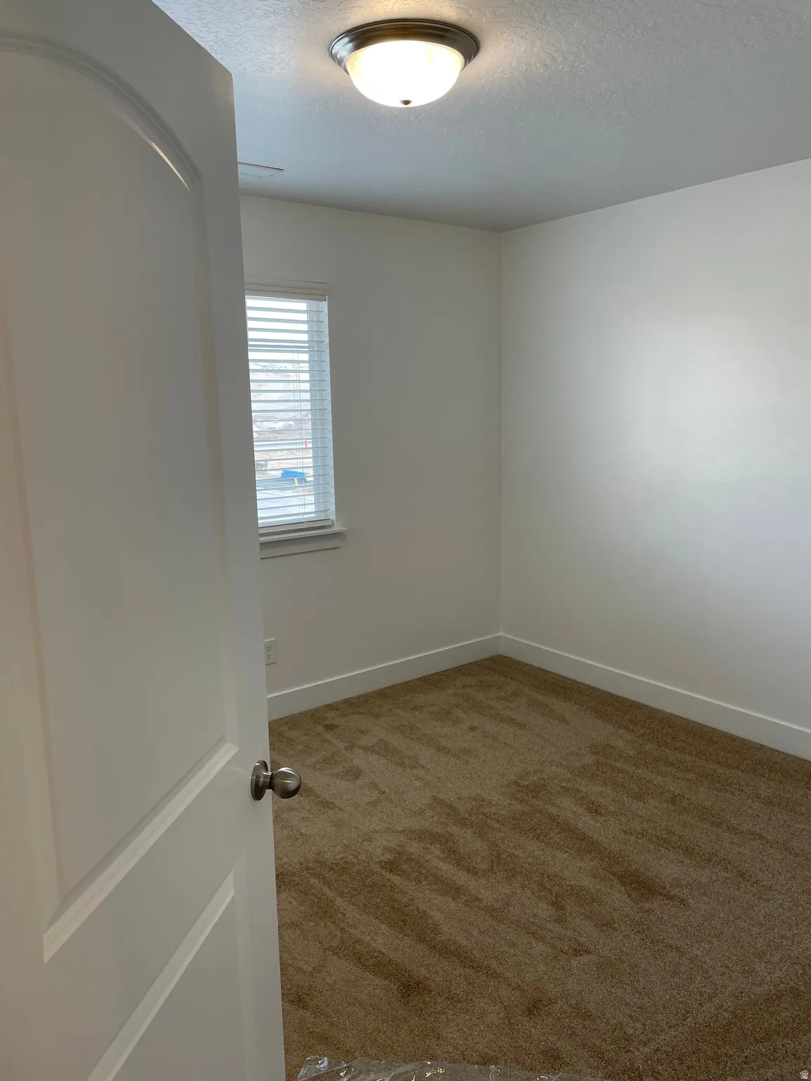 Neutral wall paint, plush carpeting, window with blinds, modern flush mount lighting, and interior door with brushed nickel hardware
