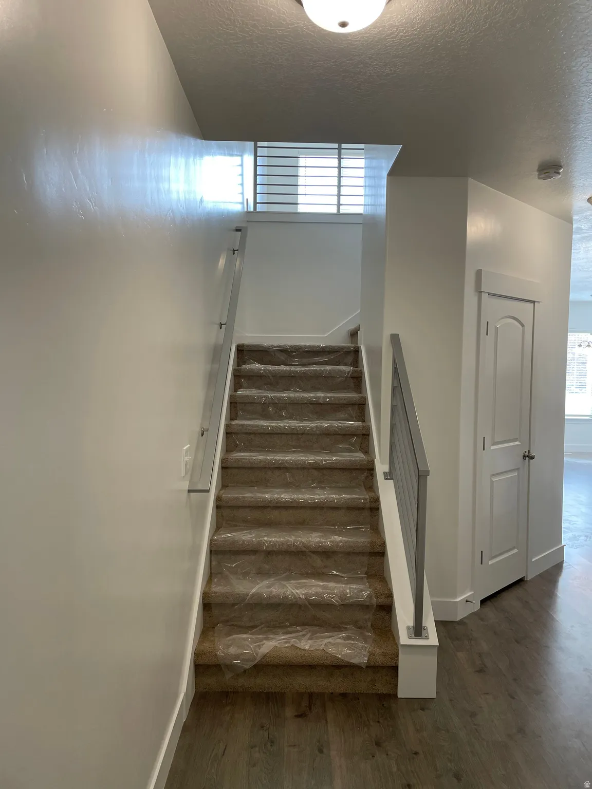 Carpeted staircase with modern metal railings, wood-finish flooring, and white interior doors
