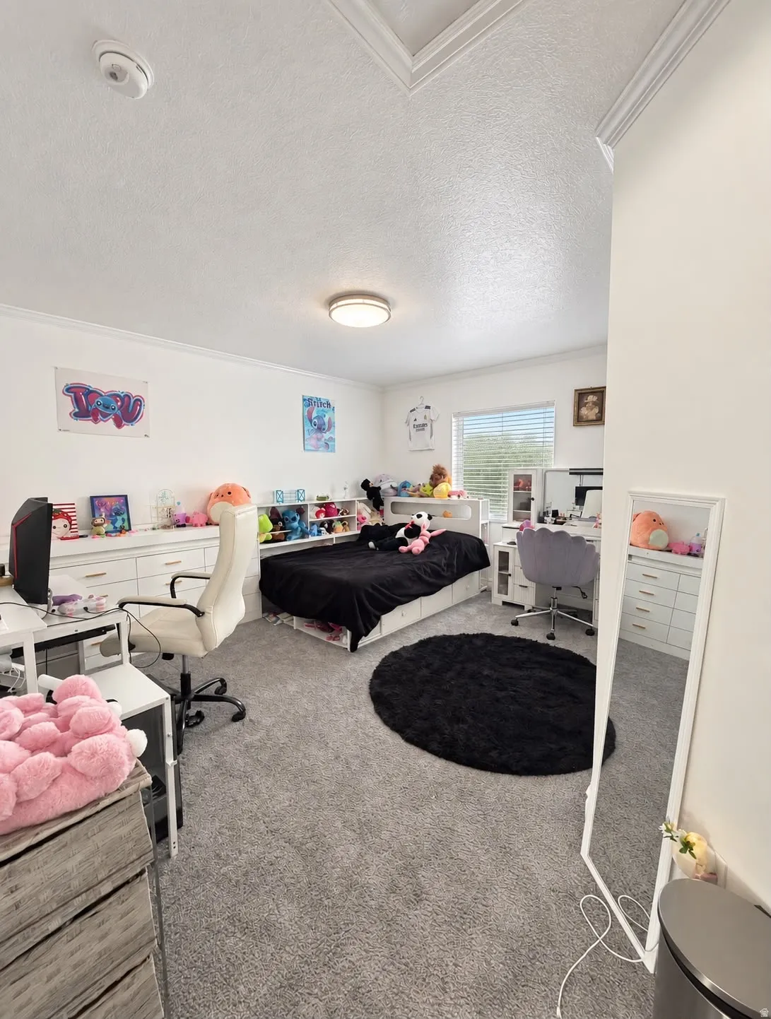 Plush gray carpeting throughout, featuring white walls and a white ceiling with a single flush-mount light fixture