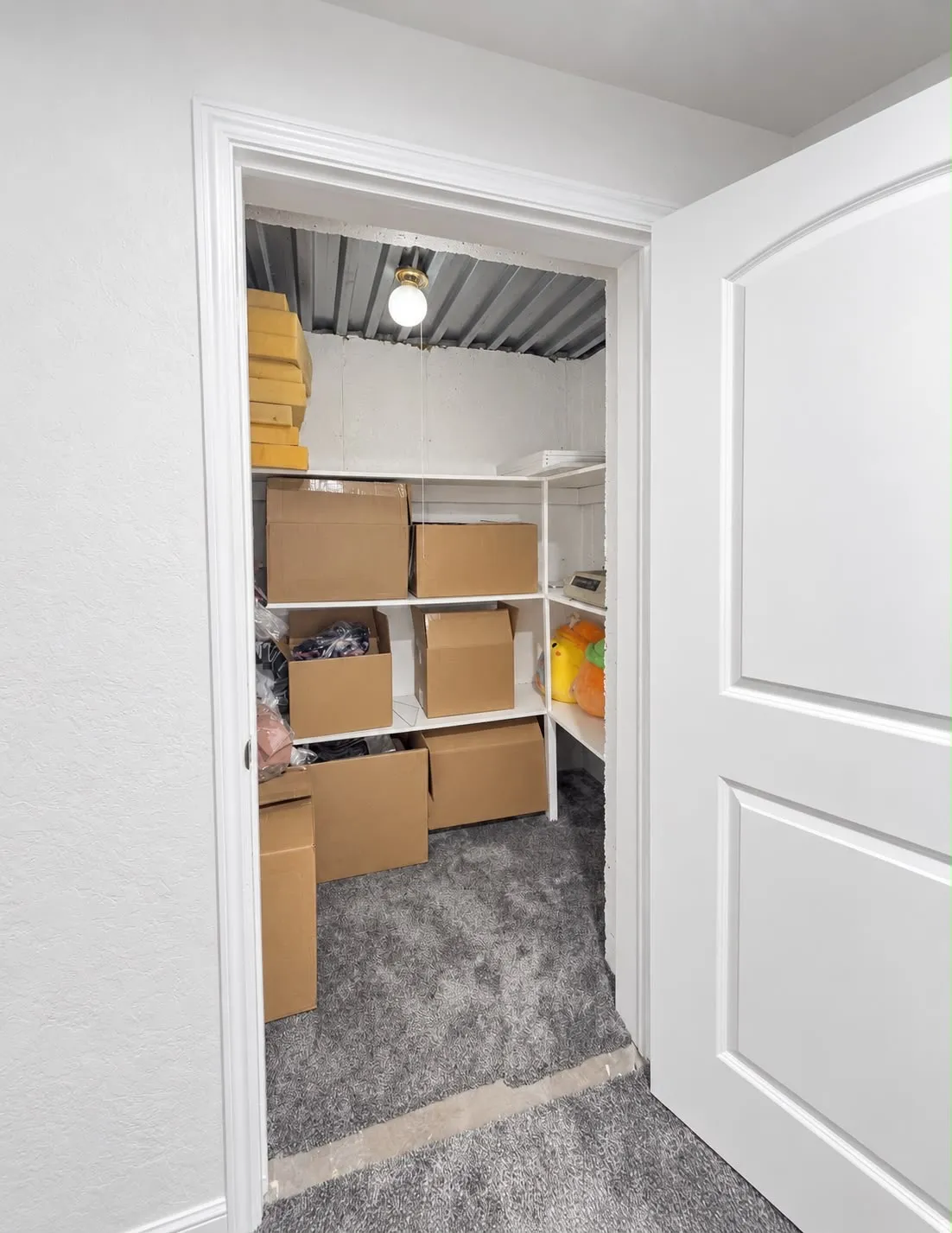 Carpeted storage area with built-in shelving, white paneled door, and recessed lighting