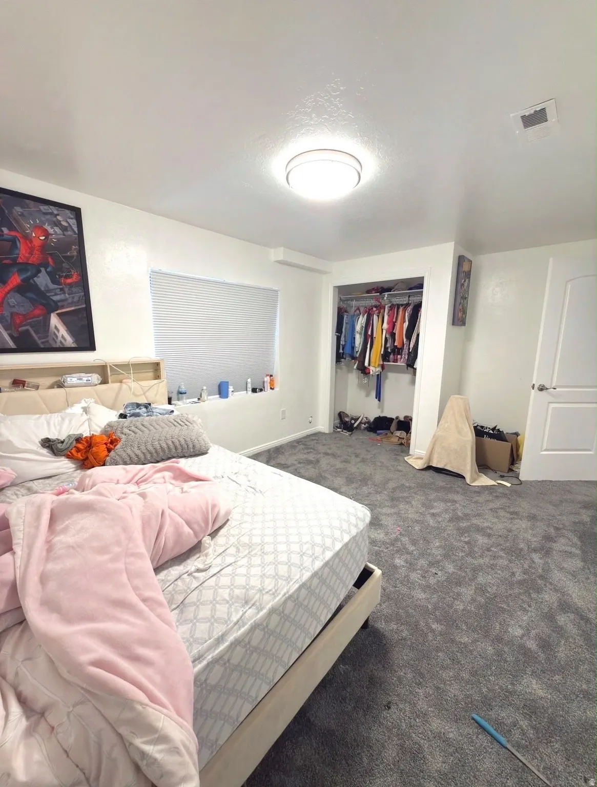 Neutral-toned textured carpeting, recessed window with horizontal blinds, built-in closet with shelving and hanging rods, and a ceiling-mounted light fixture