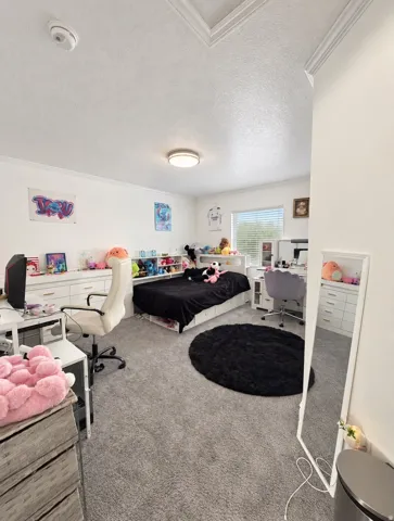 Plush gray carpeting throughout, featuring white walls and a white ceiling with a single flush-mount light fixture