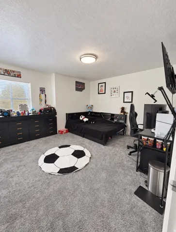Recessed lighting, light gray carpeting, and a built-in window with horizontal blinds