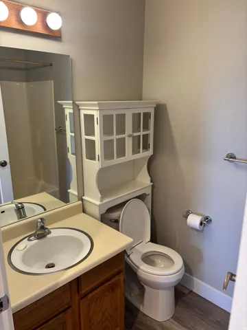 Wood-finish flooring, full vanity with wood-finish cabinetry, and a mirrored wall
