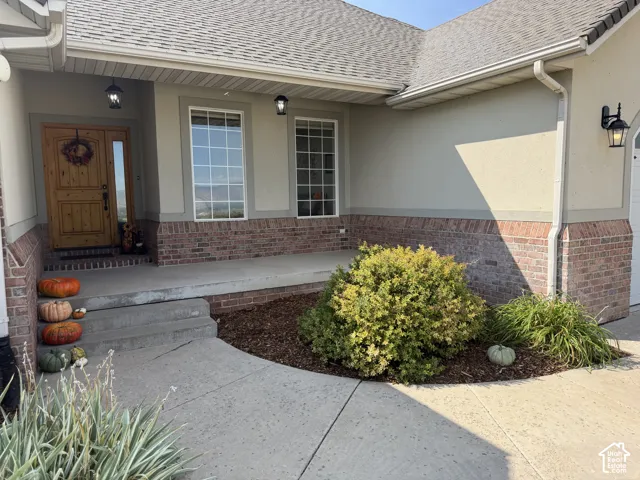 Entryway featuring a wood-paneled door, brick veneer siding, stucco exterior, concrete porch, and landscaped planting beds