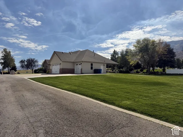 Expansive green lawn with mature trees and  a private asphalt driveway