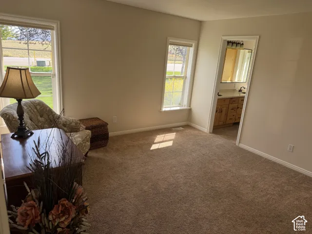 Plush carpet flooring, neutral wall tones, and multiple windows with white trim