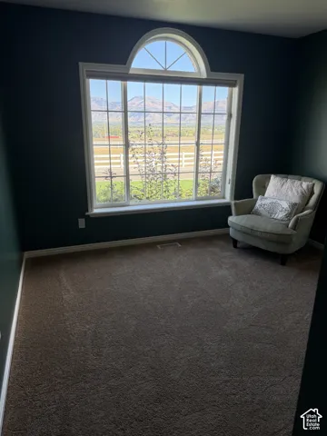 Arched transom window with grid-patterned lower panes, dark wall paint, and plush carpeting