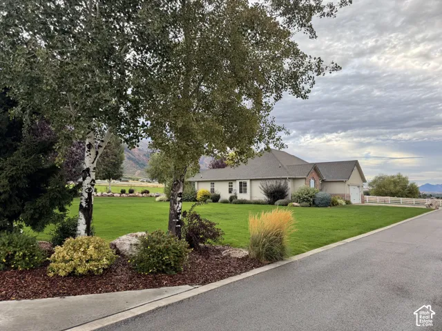 Expansive green lawn with mature trees and landscaped beds